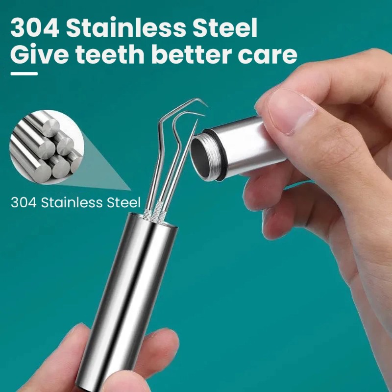 Stainless Steel Toothpick Port - Lock Picking Set avis et prix